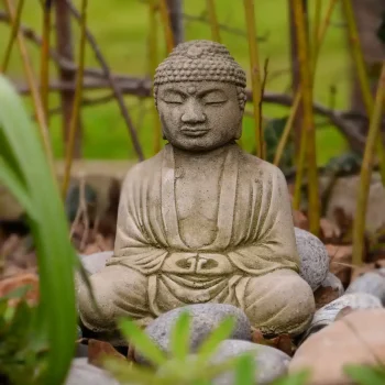 Budismo buda